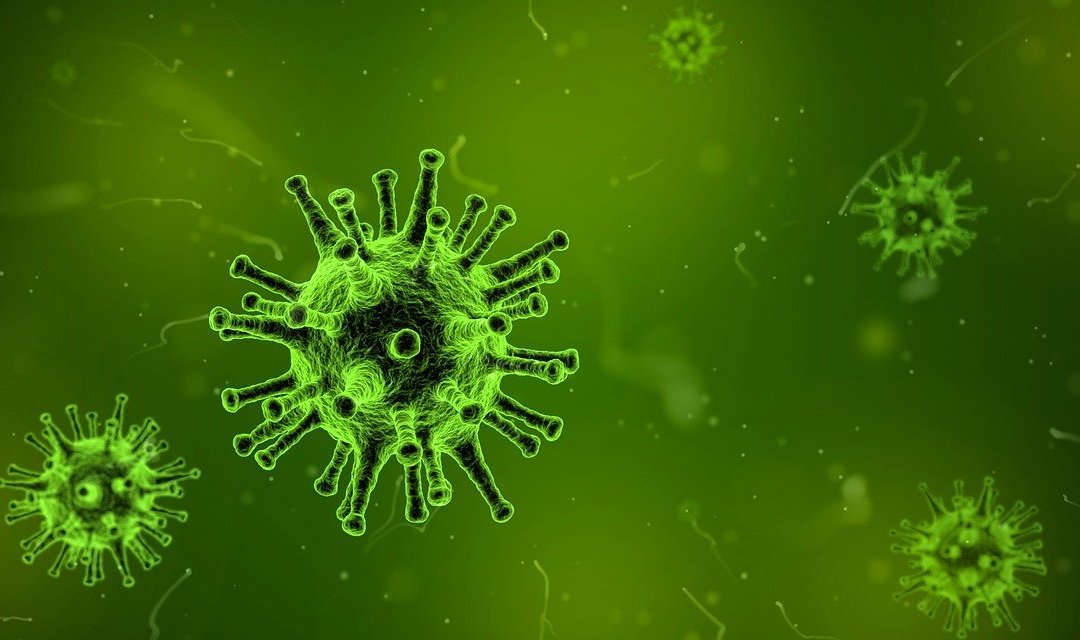 9 tipů jak posílit imunitu