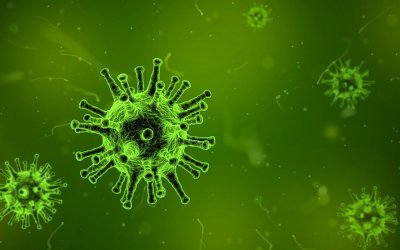 9 tipů jak posílit imunitu